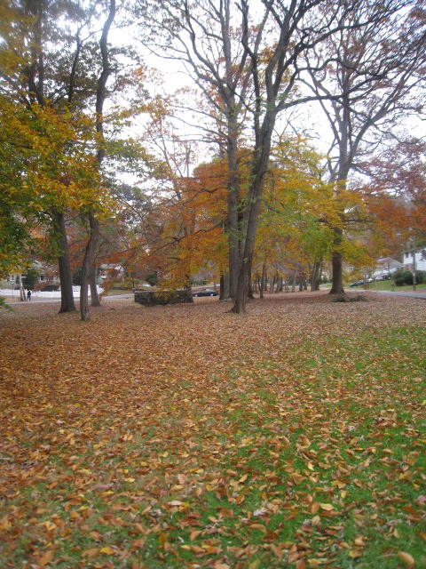 c0120817_10253936.jpg