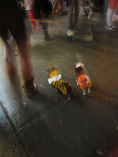 c0120817_930650.jpg