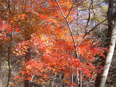 b0034422_23523329.jpg