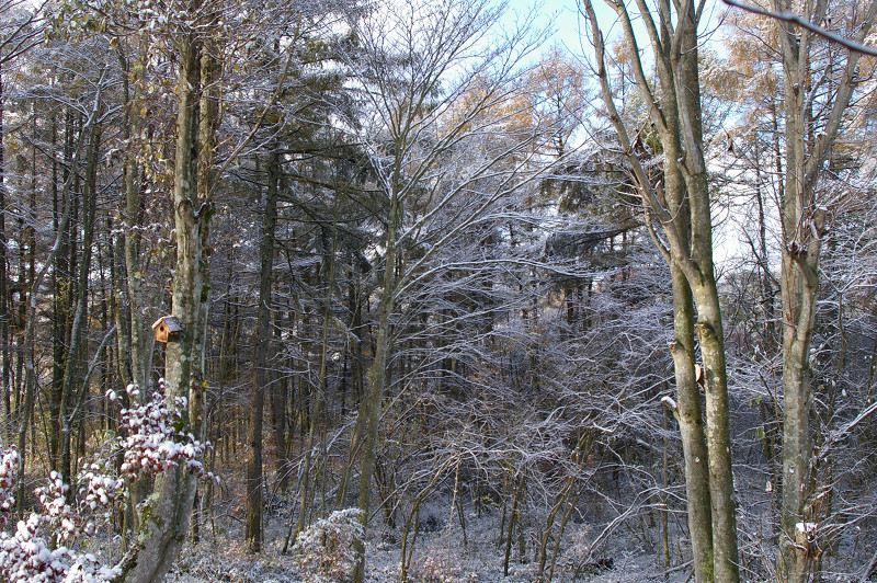 e0136424_10572010.jpg