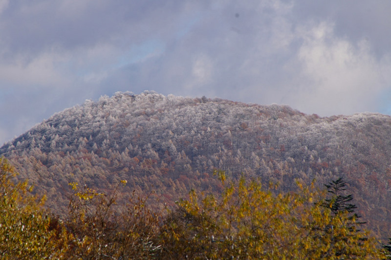 e0136424_110695.jpg