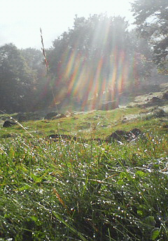 f0086825_9122585.jpg