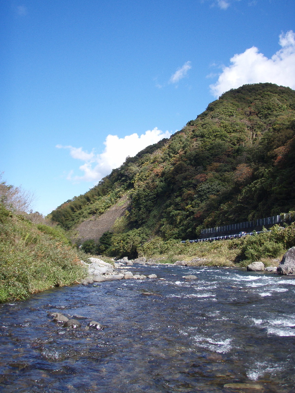 f0103126_20231495.jpg