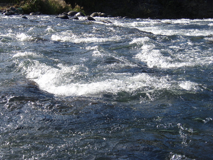 f0103126_20234737.jpg