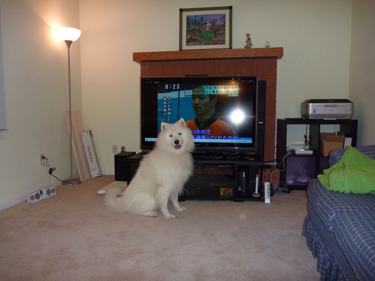 d0059028_8463226.jpg