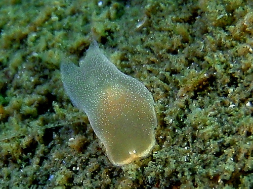 c0034029_20402715.jpg