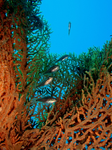 c0034029_20412056.jpg