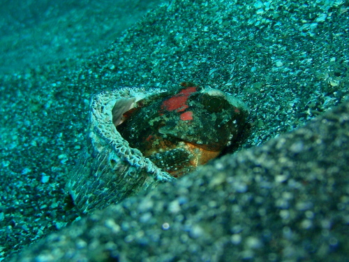 c0034029_2041341.jpg