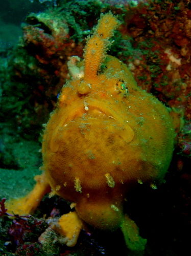 c0034029_20414473.jpg