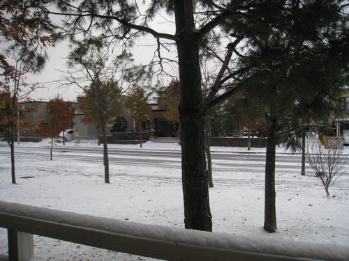 b0168830_7555847.jpg