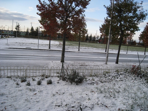 b0168830_7561799.jpg