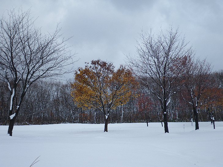 f0118332_20121650.jpg