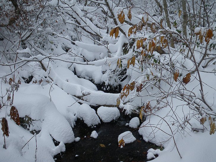 f0118332_20195571.jpg