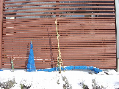f0205733_17504022.jpg