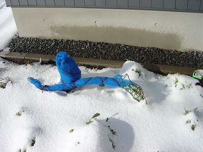 f0205733_1751053.jpg