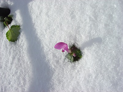 f0205733_1812169.jpg