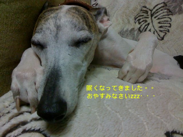 f0039538_2091231.jpg