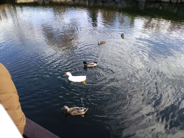 f0126940_16164416.jpg
