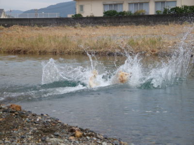 e0158841_20103065.jpg