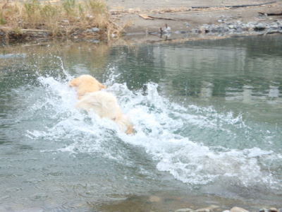 e0158841_20111874.jpg
