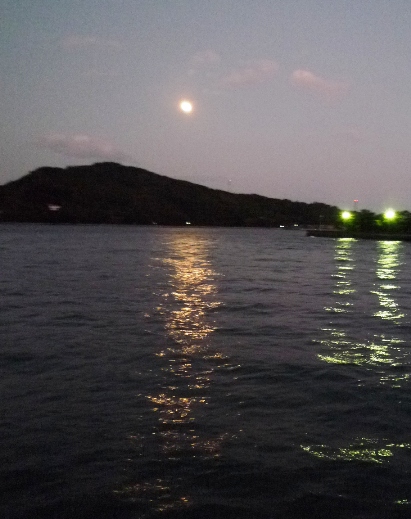 b0041442_1191434.jpg