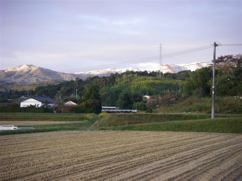 a0023043_6274123.jpg
