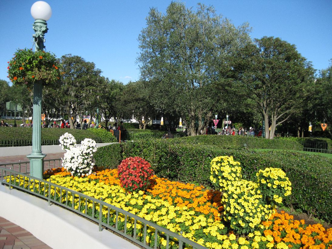 c0081747_20214980.jpg