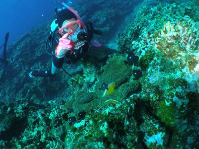 d0065247_8152169.jpg