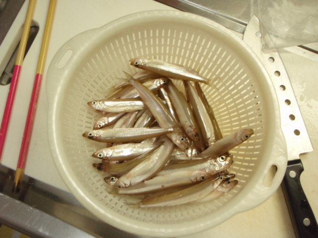 f0168947_9592121.jpg