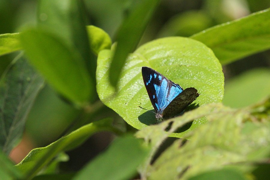 a0094850_2154422.jpg