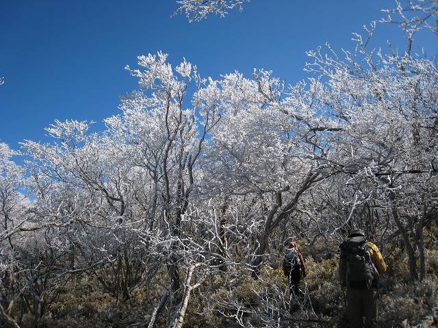 b0161750_22444136.jpg