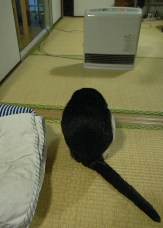 c0138553_22222463.jpg