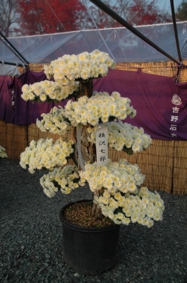 c0032257_104177.jpg