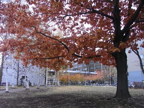a0004359_20314586.jpg