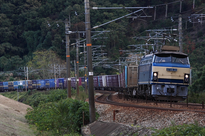 d0152960_19201336.jpg