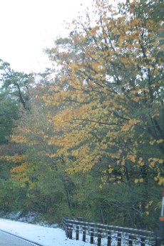 e0068962_21214518.jpg