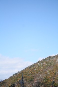 e0068962_212437100.jpg
