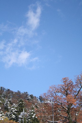 e0068962_21283972.jpg