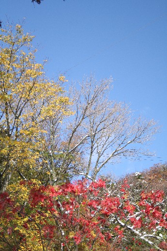 e0068962_21295689.jpg