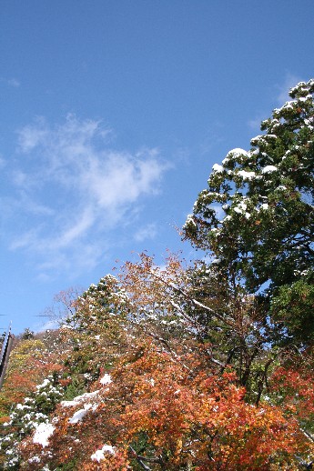 e0068962_21303194.jpg