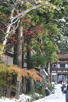 e0068962_21312286.jpg