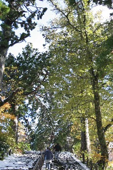 e0068962_21325220.jpg