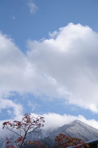 e0068962_21334092.jpg