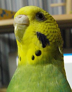 f0196665_022086.jpg