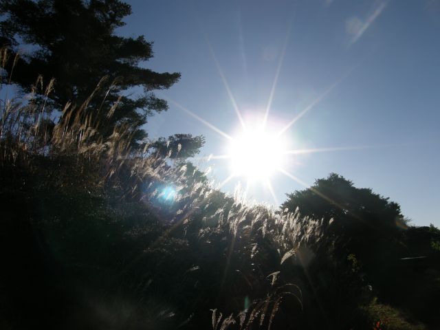 c0042869_19294940.jpg