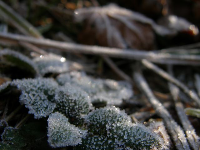 c0042869_19331669.jpg