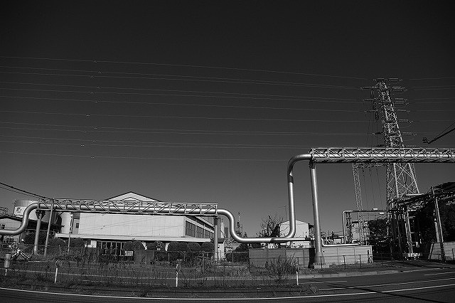 e0078069_21235913.jpg