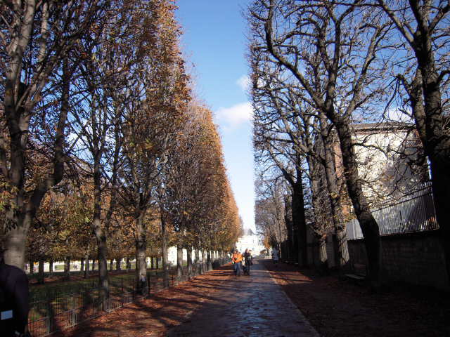 b0169771_10434659.jpg