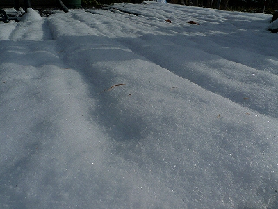 f0182173_1030185.jpg