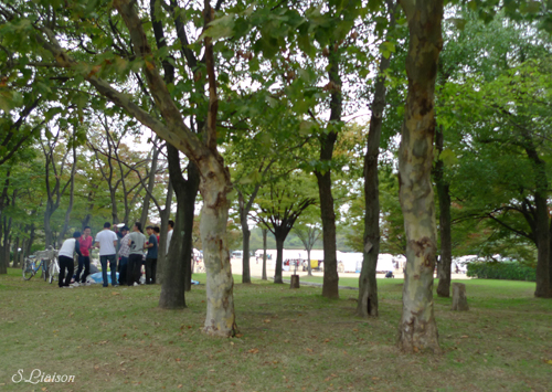 b0139477_1521873.jpg